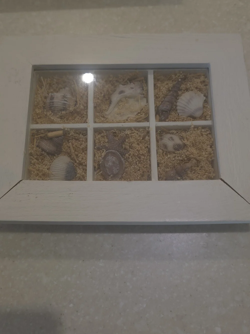 Framed Sea Shells Shadow Box Set-2 Sea Reflections 9x7 Coastal Decor Office